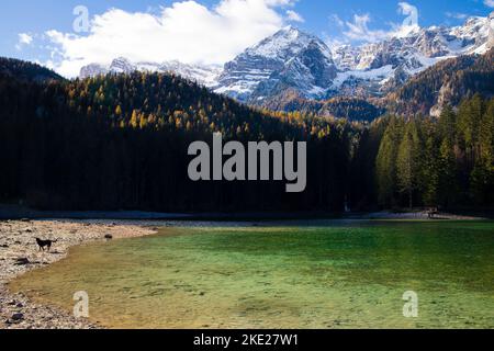 Le acque cristalline del Lago di Tovel, Trentino Alto Adige, Italia. Vista panoramica con montagne innevate sullo sfondo. Foto Stock