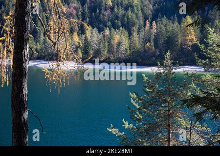 Le acque cristalline del Lago di Tovel, Trentino Alto Adige, Italia. Vista autunnale con alberi in primo piano. Foto Stock