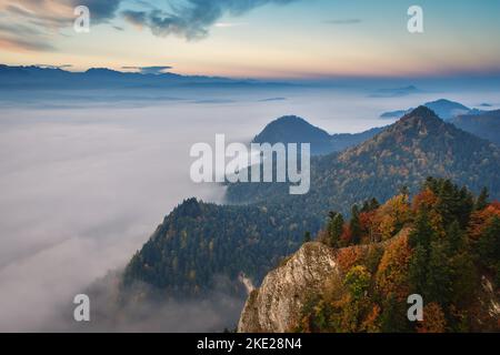 Bellissimo paesaggio autunnale. Colorati alberi autunnali sulle pendici delle montagne coperte di nebbia. Foto Stock