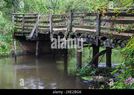 In un paesaggio quasi intatto nella valle di Oste si trova l'antico ponte in legno derelitto sopra il fiume Oste nella Germania settentrionale. Foto Stock