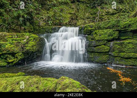 Cascate McLean cascata nel Catlins Forest Park, Otago Regione Sud Isola Nuova Zelanda Foto Stock