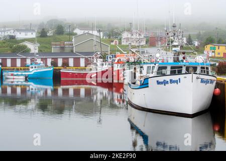 Barche colorate e casa nella nebbia, Branch, Terranova e Labrador NL, Canada Foto Stock