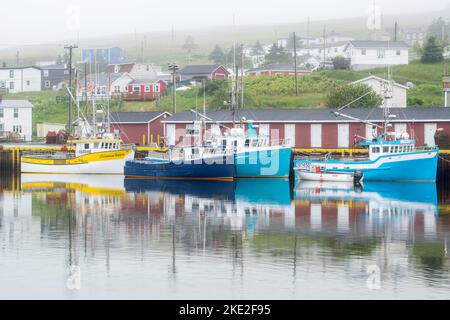 Barche colorate e casa nella nebbia, Branch, Terranova e Labrador NL, Canada Foto Stock