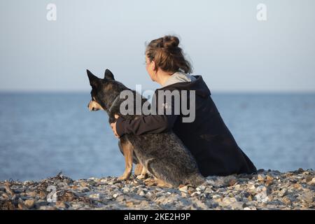 Donna e cane bovino australiano Foto Stock