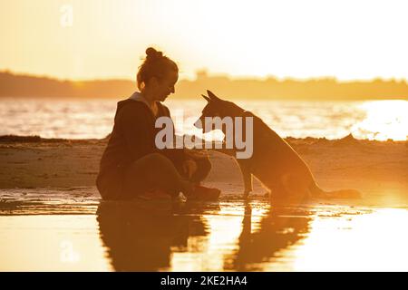 Donna e cane bovino australiano Foto Stock