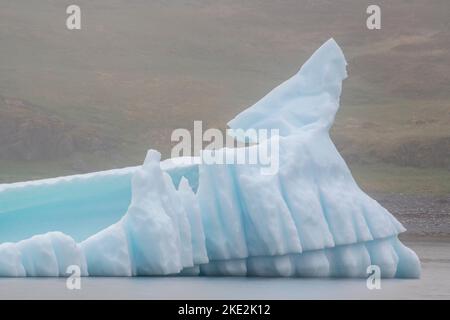 Iceberg nel porto foggy, St. Lunaire-Griquet, Terranova e Labrador NL, Canada Foto Stock