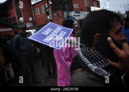 9 novembre 2022, Srinagar, Jammu e Kashmir, India: Centinaia di membri del Gujjar e Bakerwal che detengono cartelloni, in mezzo a forti piogge e freddo freddo, hanno iniziato una marcia a piedi dalla periferia di Srinagar verso l'enclave stampa il martedì contro la Commissione Nazionale delle tribù Schedule. I manifestanti agitati hanno detto di aver lanciato proteste in Jammu e Kashmir dopo che la Commissione Nazionale per le tribù programmate (NCST) ha aperto la strada all'inclusione del gruppo Pahari nella lista delle tribù programmate. I membri della comunità di Gujjar sostengono che l'inclusione di Pahari nella lista ST lo farà Foto Stock