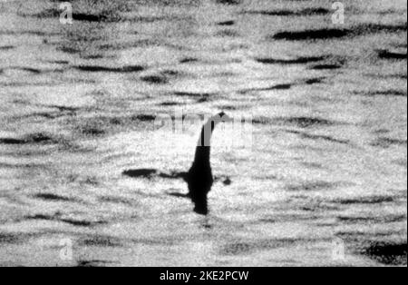 MOSTRO DI LOCH NESS: LA RICERCA DELLA VERITÀ, IL MOSTRO DI LOCH NESS, 2003 Foto Stock