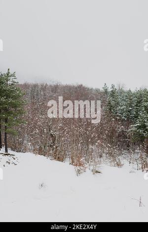 Alberi coperti di neve, bella montagna bosniaca Prenj, Rujista. Inverno in Bosnia. Atmosfera idilliaco. Foto Stock