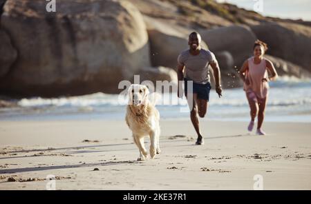 Cane, corsa e spiaggia con una coppia nera e animale domestico in vacanza sensazione di felicità e libero. Mare, sabbia e libertà di vacanza di un animale di famiglia e persone Foto Stock