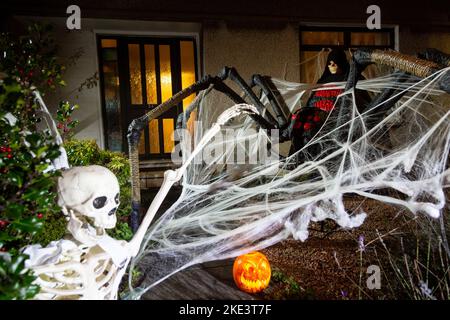 Una casa scozzese che celebra Halloween con un gigantesco ragno e scheletro decorazione. Foto Stock