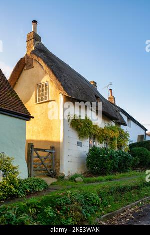 Case in paglia lungo la strada principale in autunno. Long Crendon, Buckinghamshire, Inghilterra Foto Stock