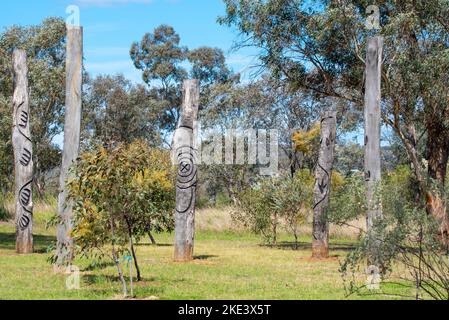 Alberi scolpiti o totem creati per celebrare la storia della popolazione locale Kamilaroi (popolazioni indigene) nella zona intorno a Gunnedah in Australia Foto Stock