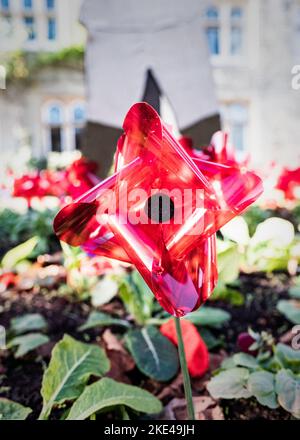 Papaveri di ceramica spinti nel terreno nel cimitero della Chiesa di Santa Maria, Witney per la Giornata della memoria Foto Stock