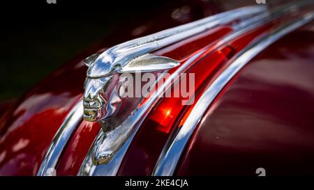 1948 Pontiac Torpedo ornamento cappuccio 'Pontiac Capo' Foto Stock