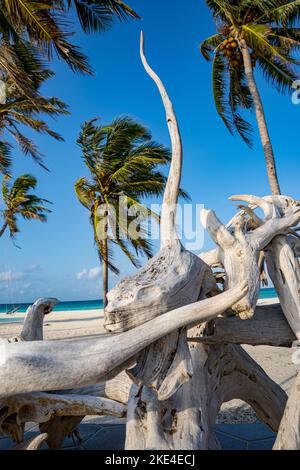 driftwood su una spiaggia di fronte alle palme situato su un'isola nei Maledives Foto Stock