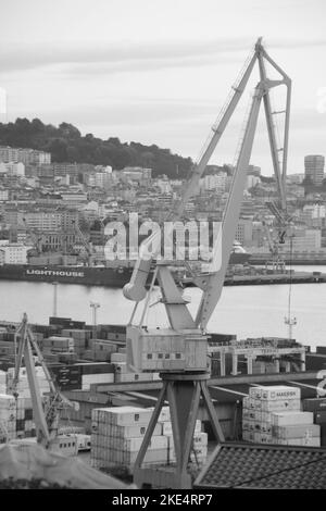 Un'immagine in scala di grigi di una gru di carico e scarico per container di carico sul porto marittimo Foto Stock