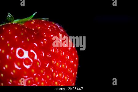 Macro primo piano di un singolo frutto di fragola rosso maturo isolato con foglie verdi su lastra di vetro nera riflettente illuminata da luce da studio Foto Stock