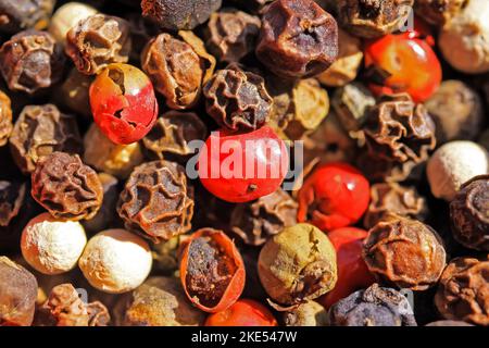 Primo piano a telaio completo di pile isolate miste di grani di pepe colorati crudi essiccati Foto Stock