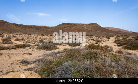 Paesaggio vulcanico arido con piante secche nel parco naturale di Los Volcanes a Lanzarote, Isole Canarie, Spagna. Foto Stock