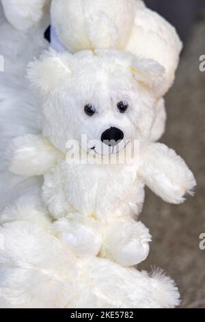 Peluche ripieno di peluche con borchie bianche pure Polar Teddy Bear Foto Stock
