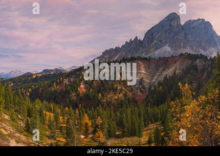 A 2000 metri di altitudine, la vista sul Passo delle Erbe, Würzjoch circondato da boschi e da lussureggianti colori autunnali, è mozzafiato. Il pa Foto Stock