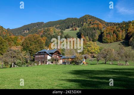 Suisse, Svizzera, Vaud, Waadt, Canton Vaud, Kanton Waadt, Vaud, Waadt, automne, Herbst, autunno, Montreux, ville, Stadt, Città, paese, Val Foto Stock