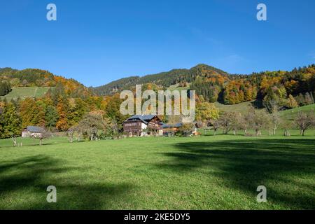 Suisse, Svizzera, Vaud, Waadt, Canton Vaud, Kanton Waadt, Vaud, Waadt, automne, Herbst, autunno, Montreux, ville, Stadt, Città, paese, Val Foto Stock