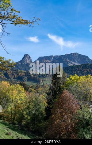 Suisse, Svizzera, Vaud, Waadt, Canton Vaud, Kanton Waadt, Vaud, Waadt, automne, Herbst, autunno, Montreux, ville, Stadt, Città, città, Son Foto Stock