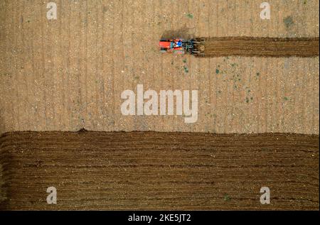 Trattore che arava un field.Mallorca.Spain Foto Stock