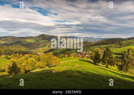 Vista sul Wiesental nella Foresta Nera, Zell im Wiesental, Baden-Wuerttemberg, Germania Foto Stock
