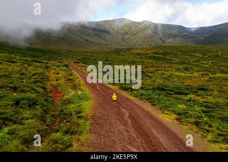 Veduta aerea di un ragazzo in piedi su una strada di montagna in una gigantesca caldera vulcanica con paesaggio coperto di felce nella parte settentrionale di Flores, azzorre, Portogallo Foto Stock