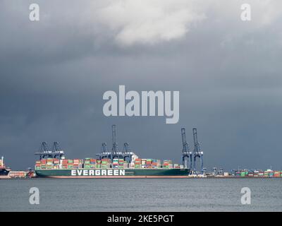 Nave container nei moli, Harwich, Essex, Inghilterra Foto Stock