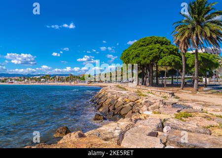 Passeggiata e palme Cambrils Spagna Costa Dorada Catalonia Tarragona Provincia una delle belle spiagge sul Gol Foto Stock