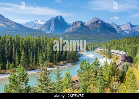 Morant's Curve, Banff, Canada treno ferroviario che viaggia attraverso le Montagne Rocciose Foto Stock