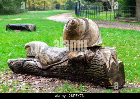 Iver, Buckinghamshire, Regno Unito. 10th Novembre 2022. Oggi è stata una giornata più fresca al Langley Park Country Park, dove la gente si diverse a passeggiare nel parco e a guardare i colori autunnali. Le more sono ancora in crescita e gli arbusti di rododendro fiorito nonostante sia novembre. Credit: Maureen McLean/Alamy Live News Foto Stock