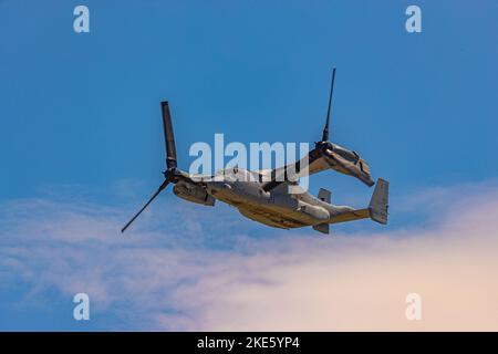Il Boeing MV-22B Osprey vola in aria contro il cielo blu durante il giorno Foto Stock