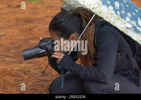 Le ragazze di brunette che scattano le foto nella foresta con la loro macchina fotografica nera Foto Stock