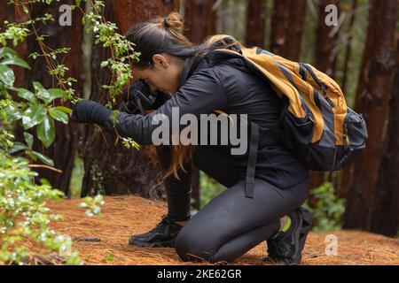 Le ragazze di brunette che scattano le foto nella foresta con la loro macchina fotografica nera Foto Stock