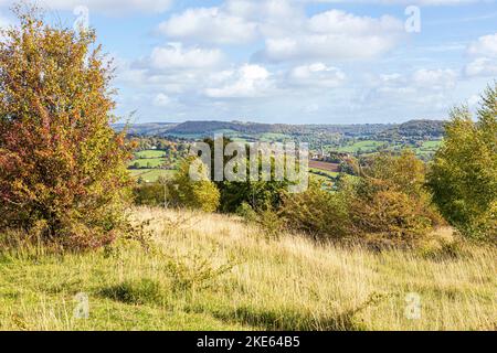 Un assaggio di Painswick dal Cotswold Way National Trail sentiero a lunga distanza in autunno attraversando Rudge Hill, Edge Common, Gloucestershire UK Foto Stock