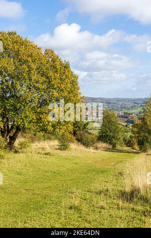 Un assaggio di Painswick dal Cotswold Way National Trail sentiero a lunga distanza in autunno attraversando Rudge Hill, Edge Common, Gloucestershire UK Foto Stock