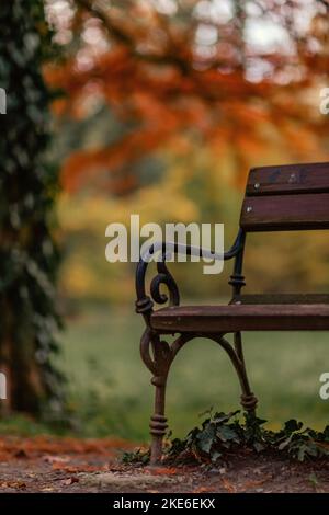 Un bel primo piano di un angolo panca in un accogliente parco autunnale, perfetto per sfondi a tema autunnale Foto Stock