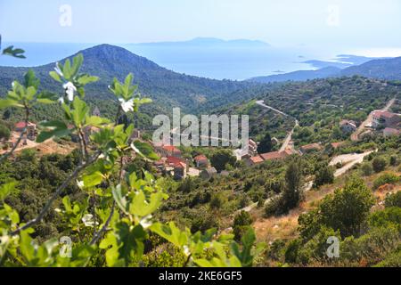 Vista degli uccelli di velo Grablje. Villaggio storico sull'isola di Hvar, in Croazia, famoso per la produzione di lavanda, vite e olio d'oliva. Vista aerea da un vecchio Foto Stock