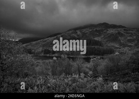 Vista dalla pietra di Bruces nel parco di Galloway in una giornata cupa Foto Stock