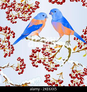 Texture senza cuciture uccelli Bluebirds thrush piccolo songbirdon su albero nevoso e bacche inverno sfondo vintage vettore illustrazione modificabile disegno a mano Illustrazione Vettoriale