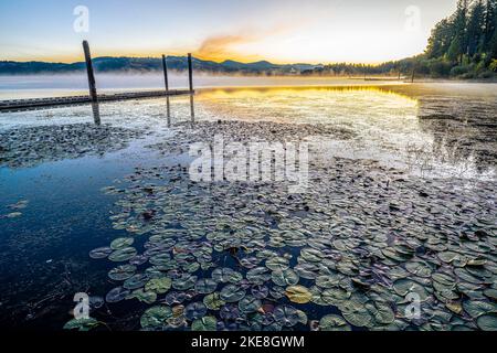 Lago Chatcolet in prima mattina in autunno Foto Stock