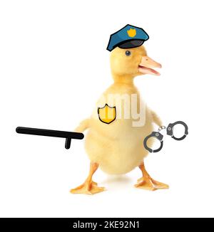 Carino anatroccolo vestito da poliziotto su sfondo bianco Foto Stock