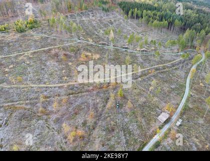 Oberursel, Germania. 02nd Nov 2022. Questa zona boschiva nei pressi di Oberursel, nella regione di Taunus, è stata in gran parte chiarita (fotografia aerea scattata dal drone). Oltre al clima, anche le infestazioni di parassiti su larga scala causano sempre più problemi alla foresta. L'Assia presenterà il suo rapporto sui danni alle foreste venerdì (11,11.). Credit: Boris Roessler/dpa/Alamy Live News Foto Stock