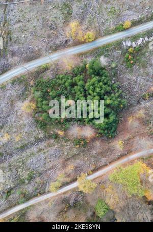 Oberursel, Germania. 02nd Nov 2022. Questa zona boschiva nei pressi di Oberursel, nella regione di Taunus, è stata in gran parte chiarita (fotografia aerea scattata dal drone). Oltre al clima, anche le infestazioni di parassiti su larga scala causano sempre più problemi alla foresta. L'Assia presenterà il suo rapporto sui danni alle foreste venerdì (11,11.). Credit: Boris Roessler/dpa/Alamy Live News Foto Stock