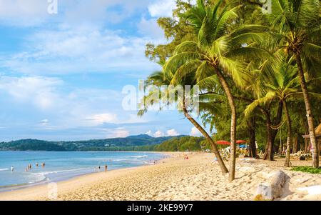 Palme durante il tramonto sulla spiaggia di Bang Tao Beach Phuket Thailandia. Foto Stock